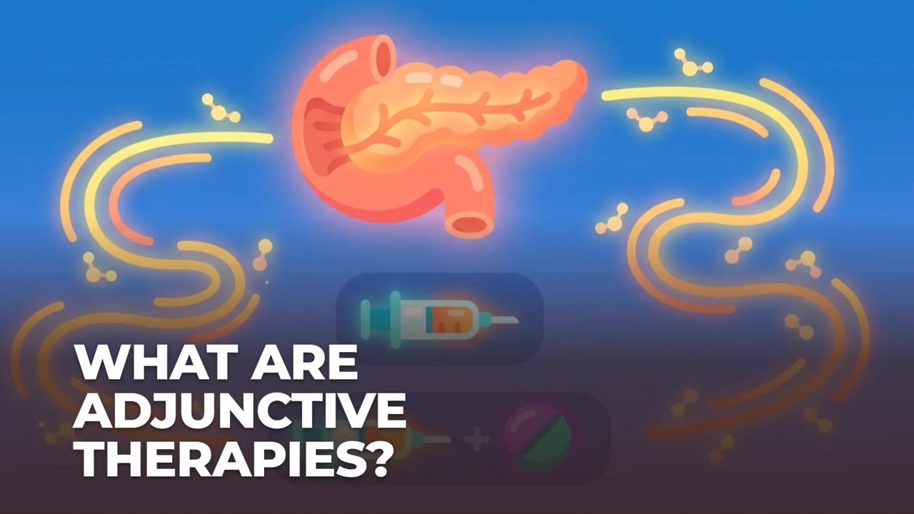 Animated diagram of a human pancreas titled What are adjunctive therapies?